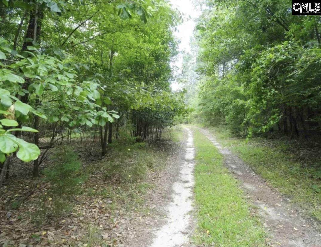 337 Big Hickory Lane - Photo 1