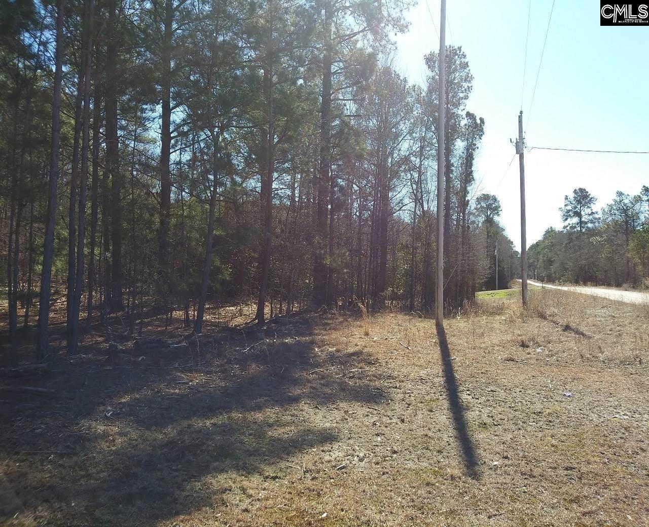 454 Happy Town Road - Photo 1