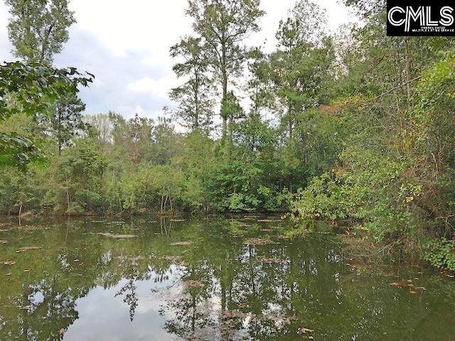 631 Palomina Road - Photo 1
