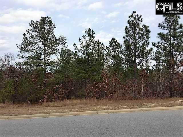 4 Beaver Ridge Court - Photo 1