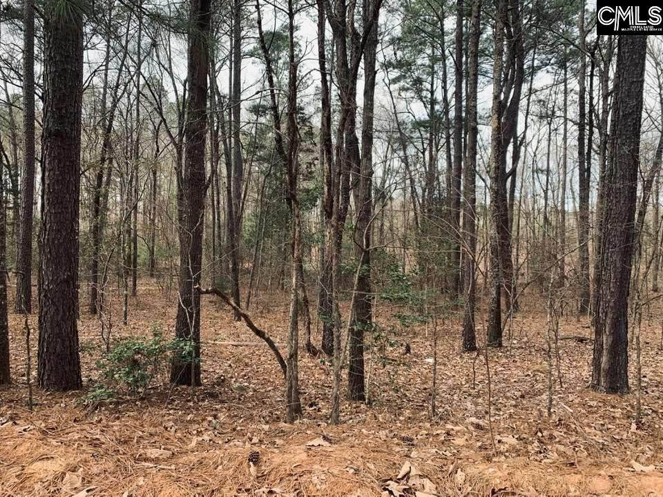 118 Gray Fox Forest Lane - Photo 1