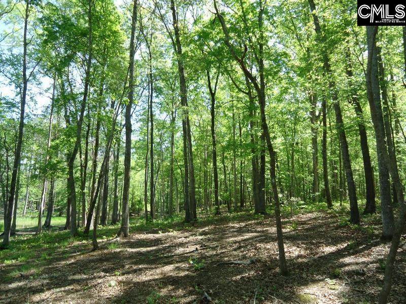 Murray Lindler Road - Photo 1