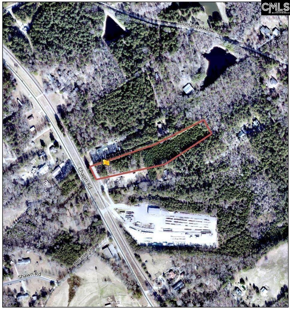 Chapin Road - Photo 1