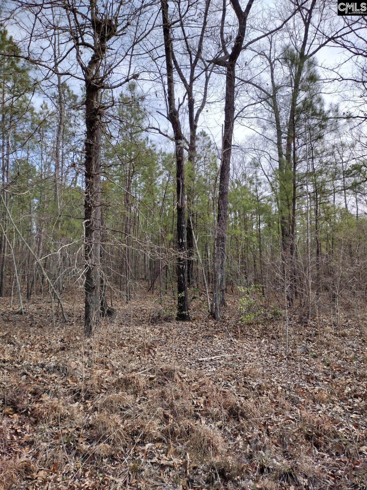 N/S Lake Dogwood - Photo 1