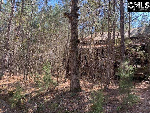 Shirey Branch Road - Photo 1