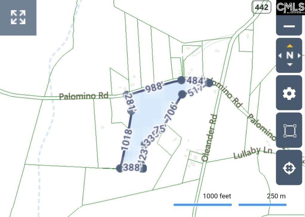 0 Palomino Road - Photo 1