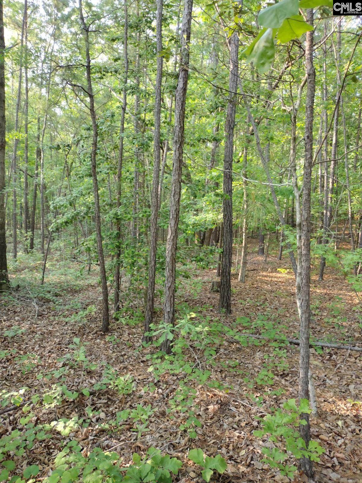 N/S Lake Dogwood Circle - Photo 1