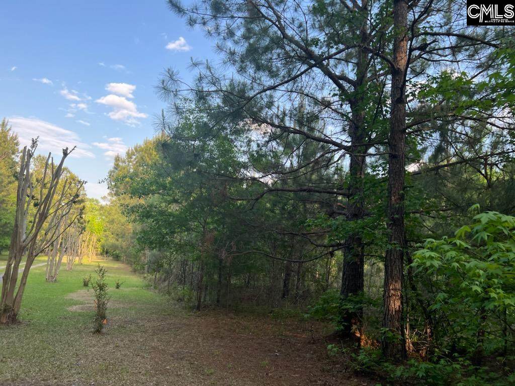 1142 Blackberry Road - Photo 1
