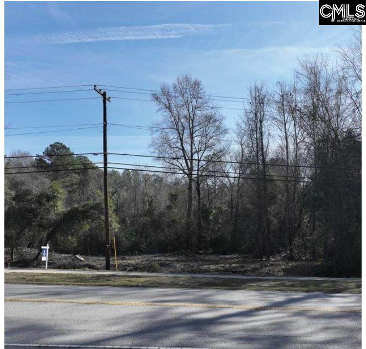 0 Frink Street - Photo 1