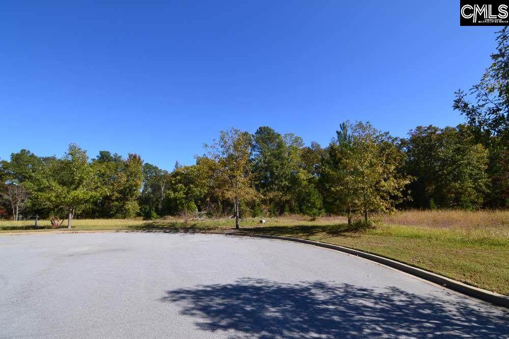 10 Blythe View Court - Photo 1