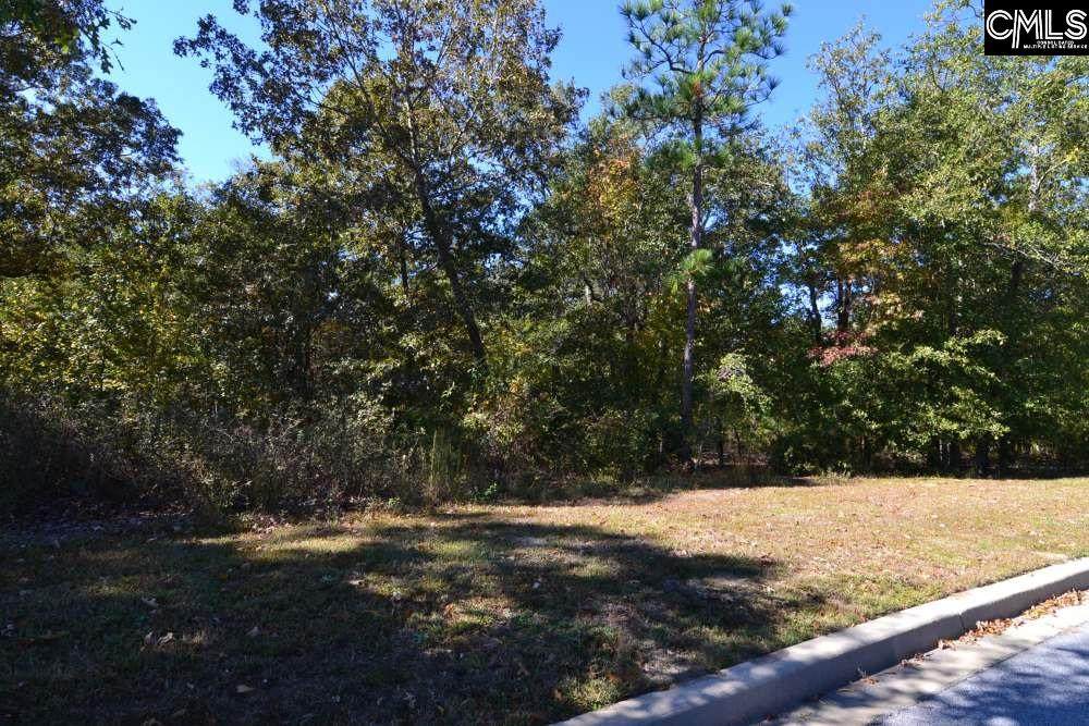 121 Montgomery Ridge Lane - Photo 1