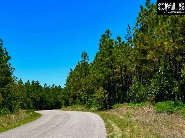 TBD Pine Acres Road Q - Photo 1