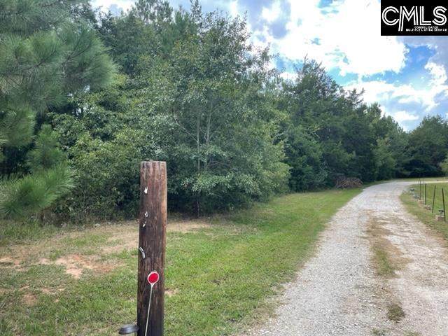 Lot 13 Lynn Lane - Photo 1