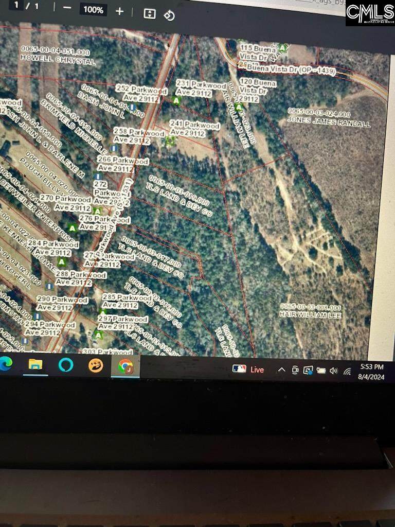 TBD Parkwood Avenue - Photo 1