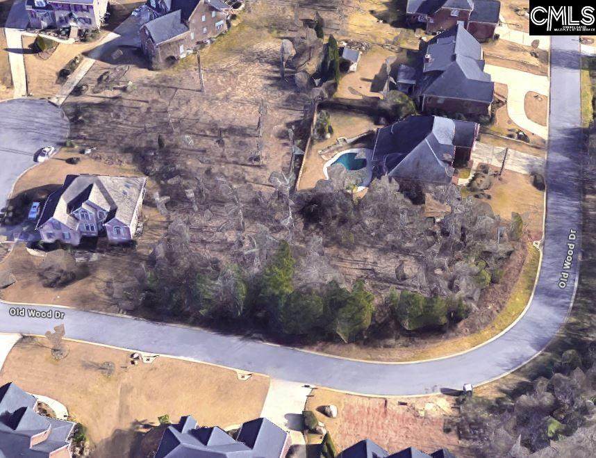 338 Old Wood Drive - Photo 1