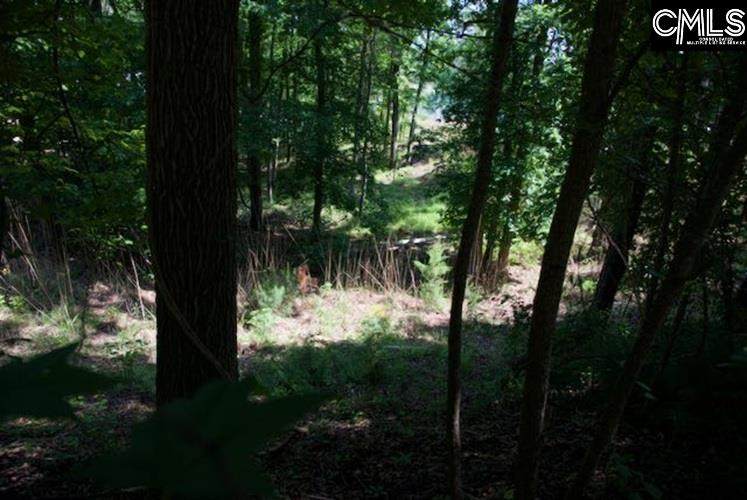 415 Alice Harris Road - Photo 1