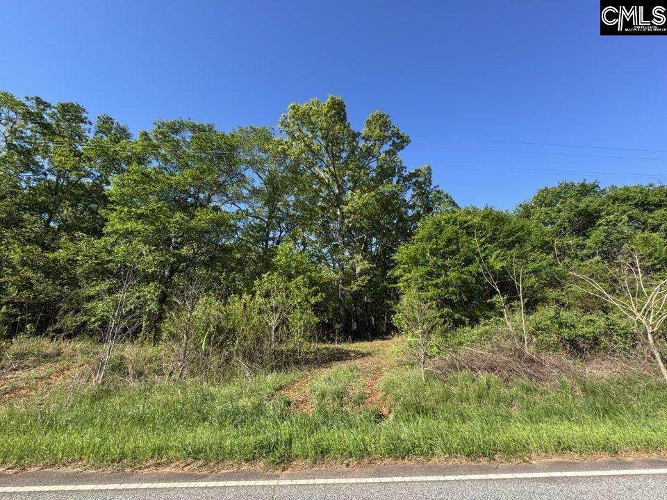 Shaw Road - Photo 1
