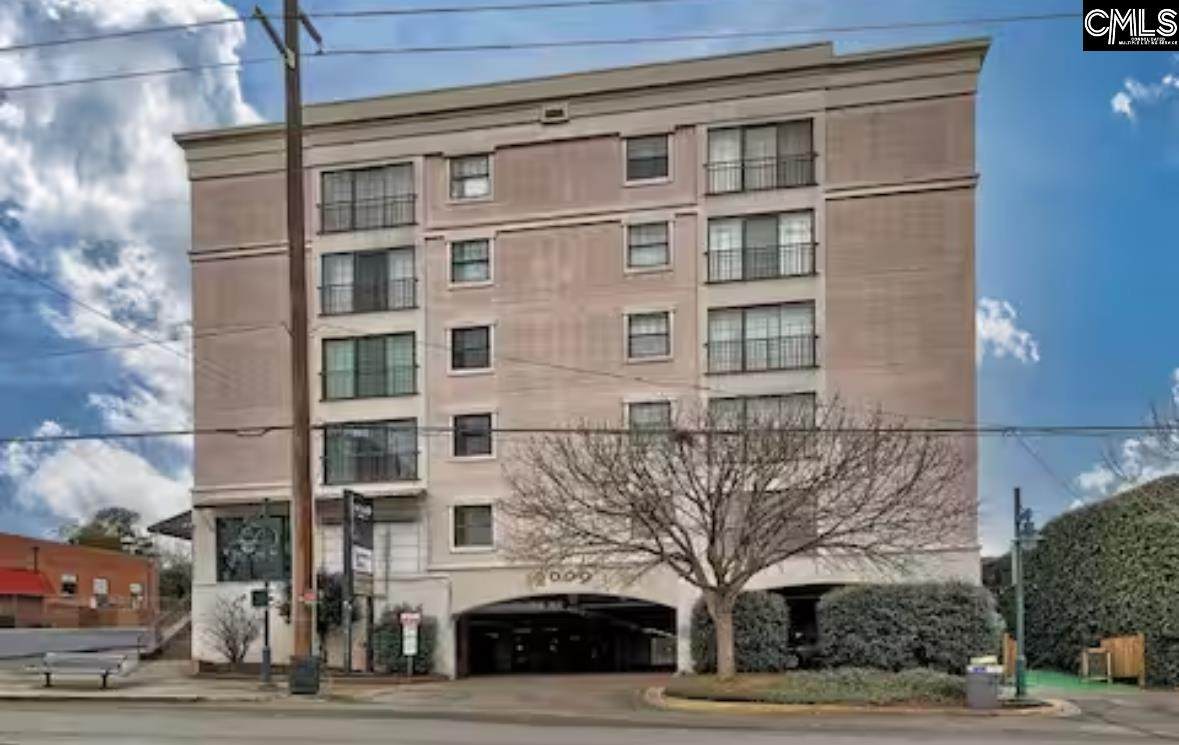 2009 Greene Street 403 - Photo 1