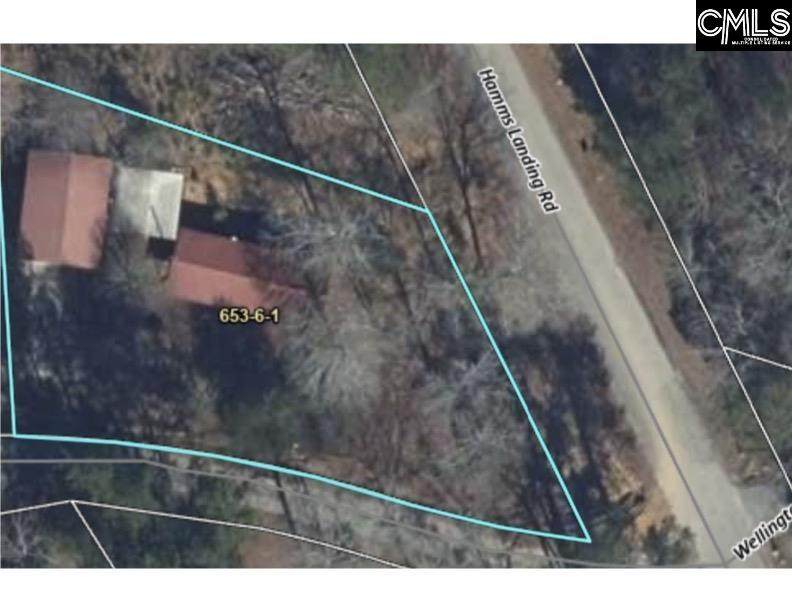 25 Plum Nelly Road - Photo 1