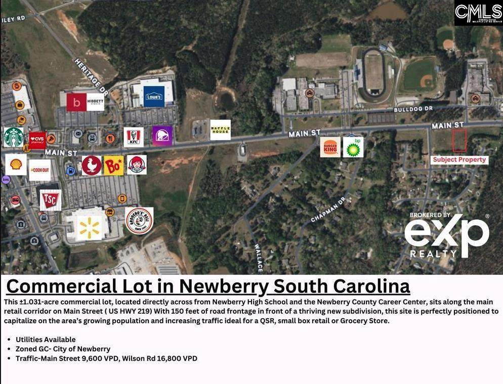 0 Main St/Hwy 219 - Photo 1