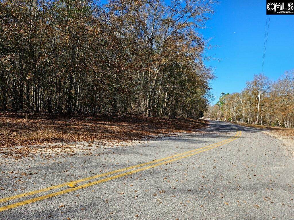 275 Twin Lakes Road - Photo 1