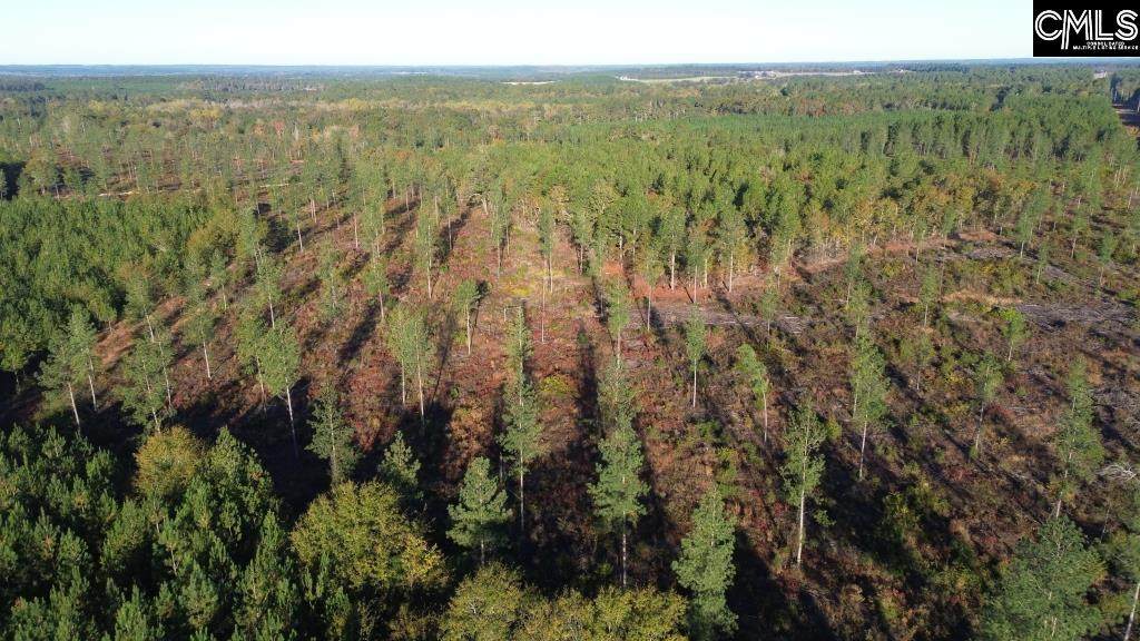 Kestrel Drive - Photo 1