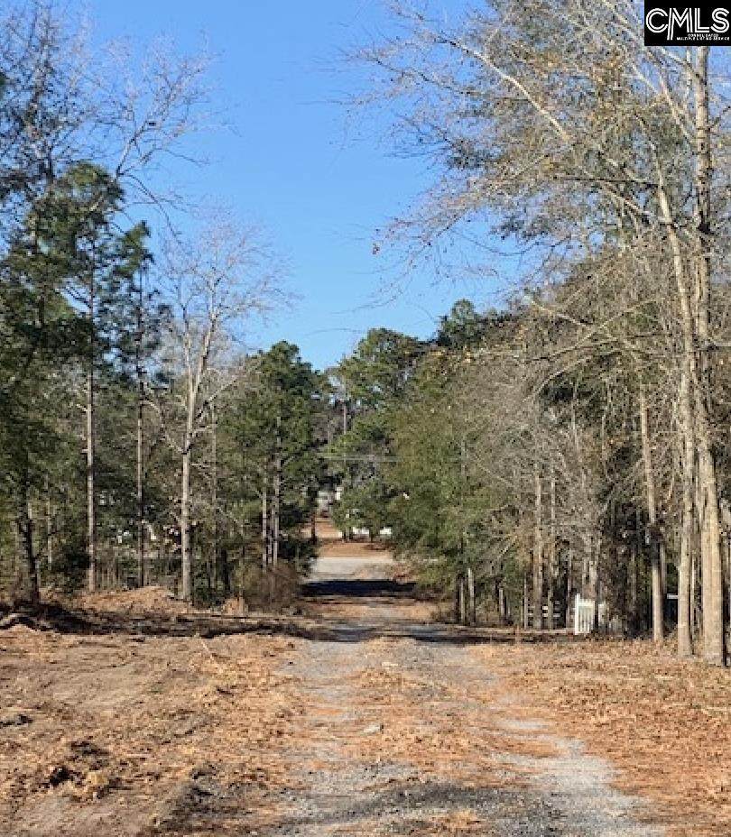 1257B-1 Old Organgeburg Road - Photo 1