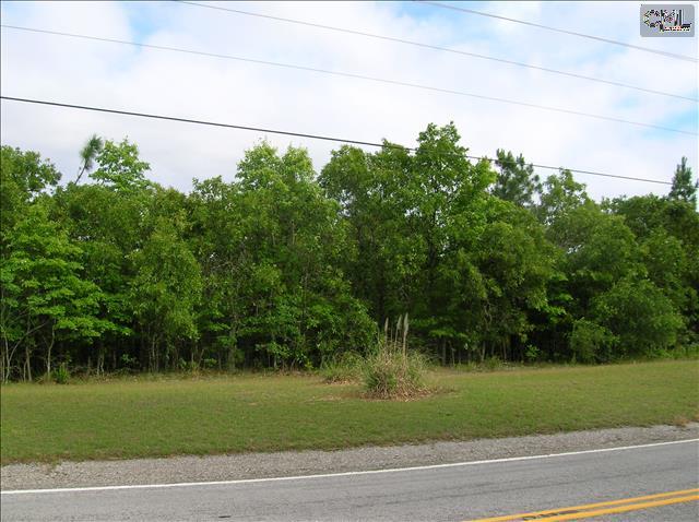 1531 Mullis Road - Photo 1
