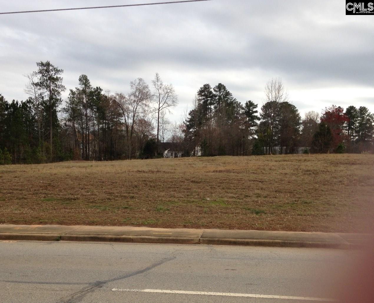 0 Sc Hwy 219 Nw Newberry Highway - Photo 1