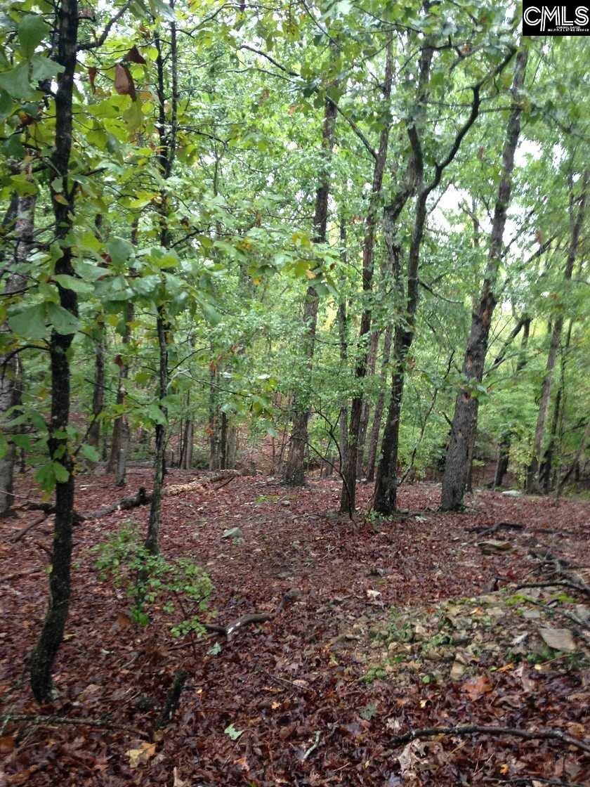 1042 Pond Valley Road - Photo 1