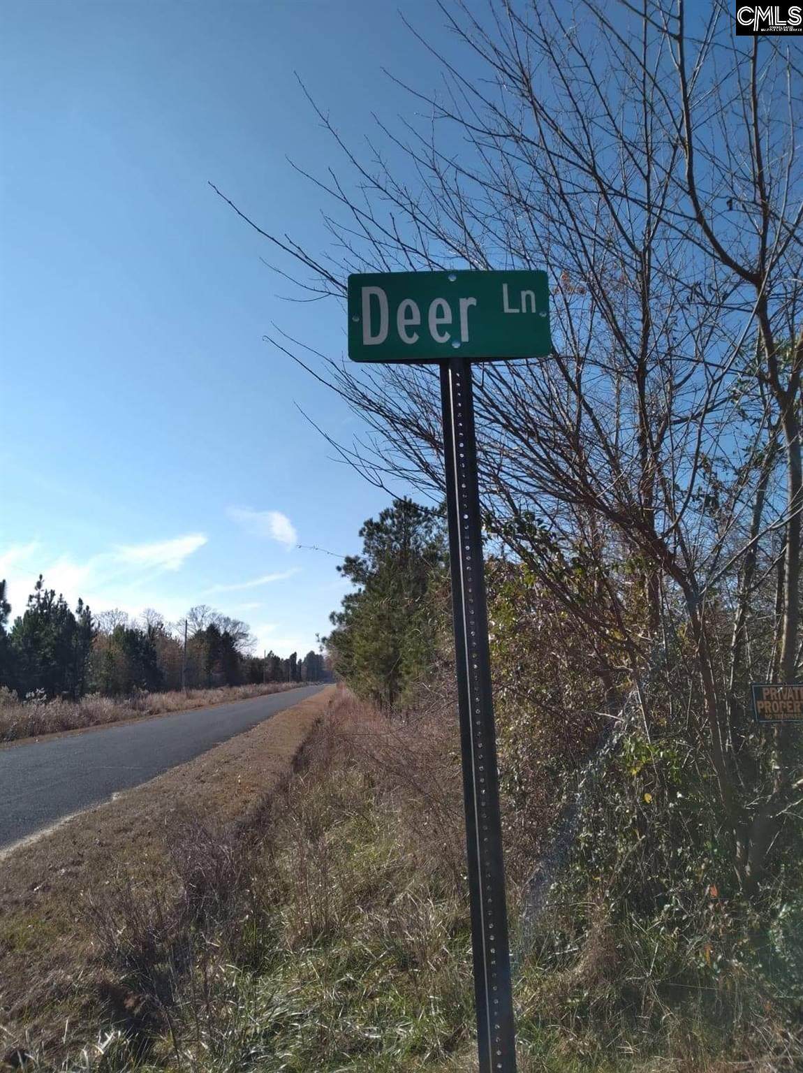 550 Deer Lane - Photo 1