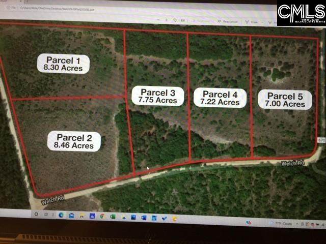 Parcel 5 Welch Road - Photo 1