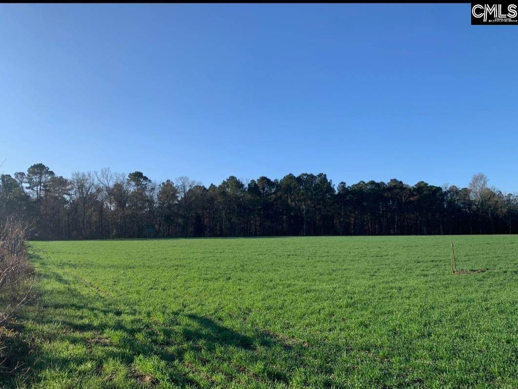 1082 Charles E. Simons Highway - Photo 1