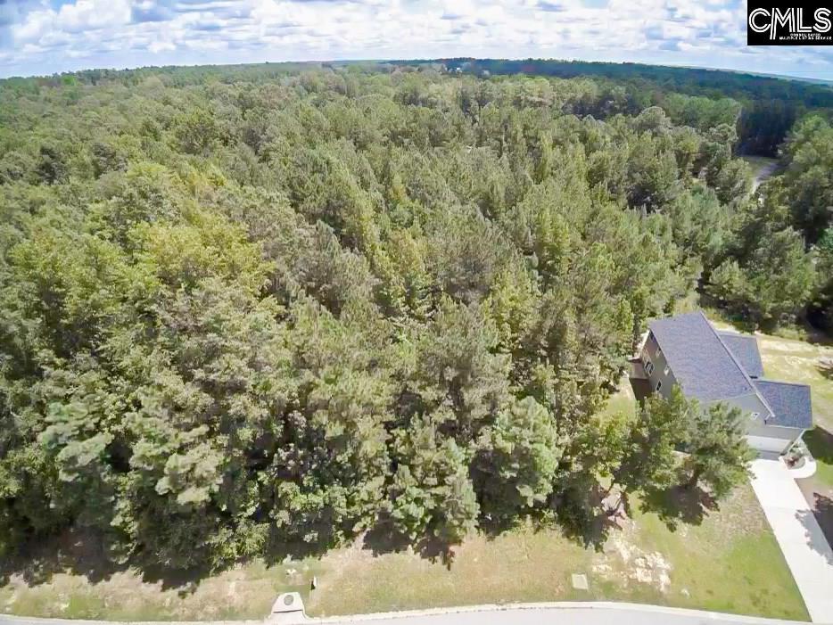 334 Creek Ridge Loop - Photo 1