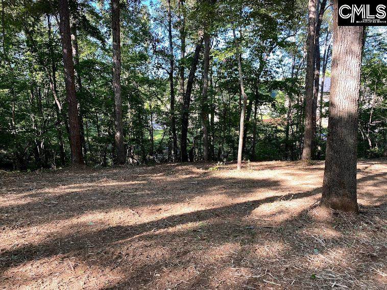 10 Whiteoak Ridge Circle - Photo 1