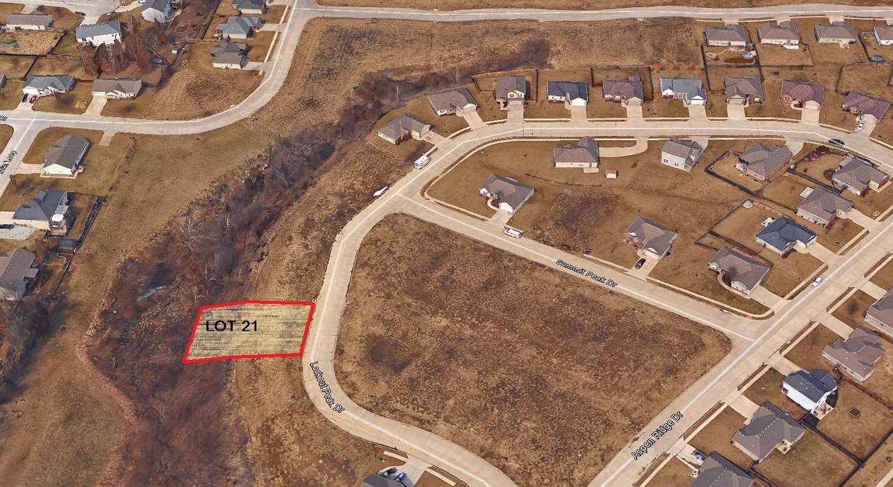 Lot 21 Lookout Peak Dr - Photo 1