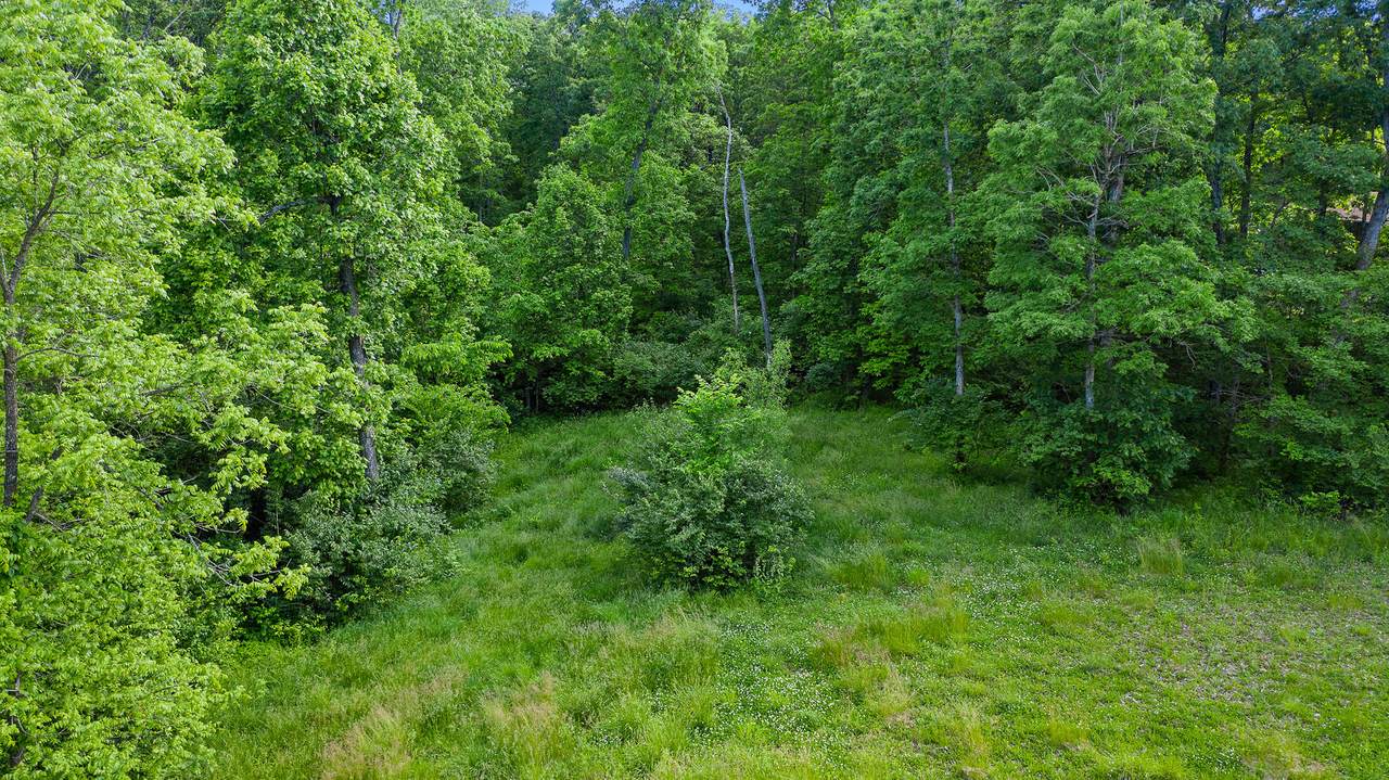 Graybill Rd - Photo 1