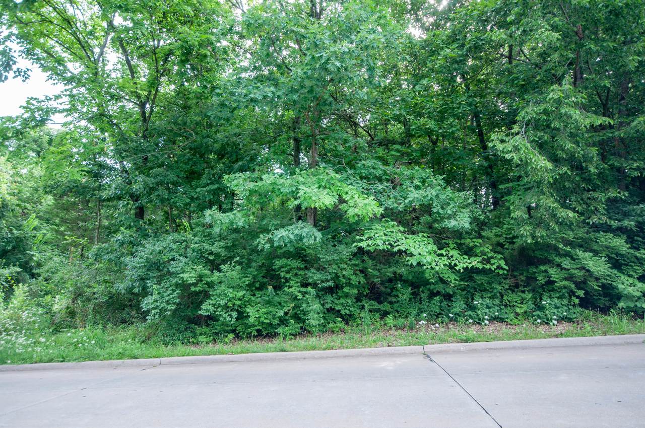 LOTS 1 & 2 Garden Dr - Photo 1