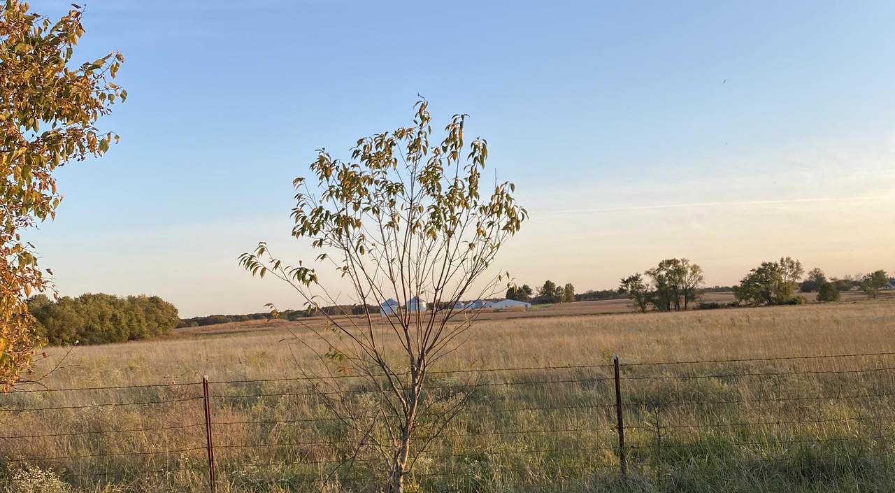 TRACT 9 Hwy Ab - Photo 1