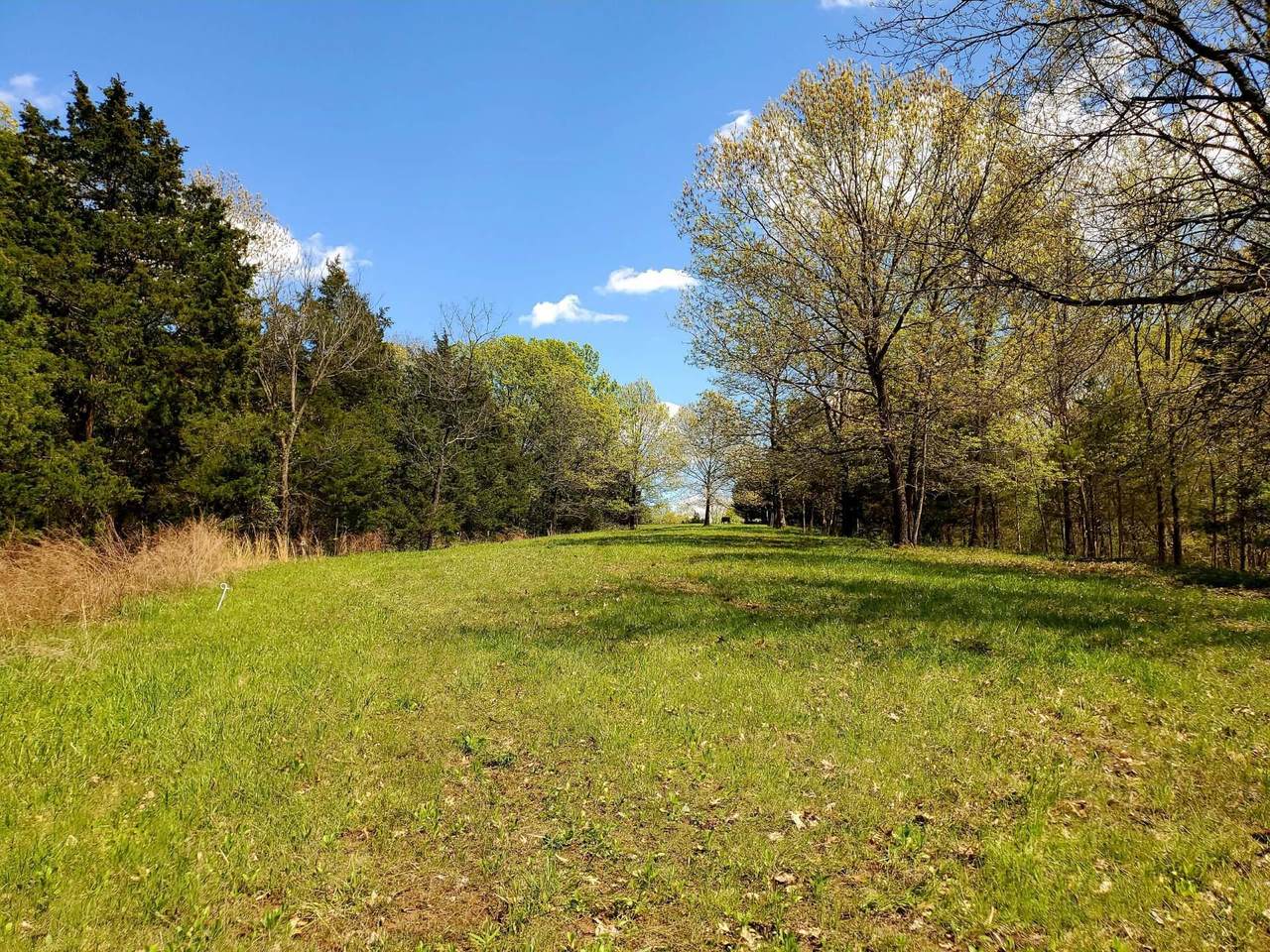 Mount Pleasant Rd. (15 Acres) - Photo 1