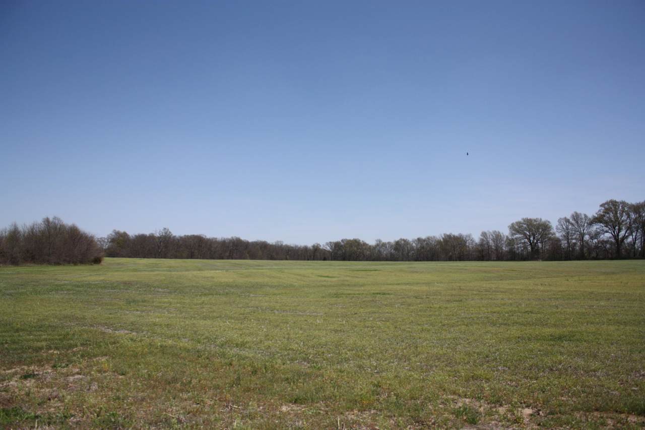 TR 203 Low Crossing Rd - Photo 1