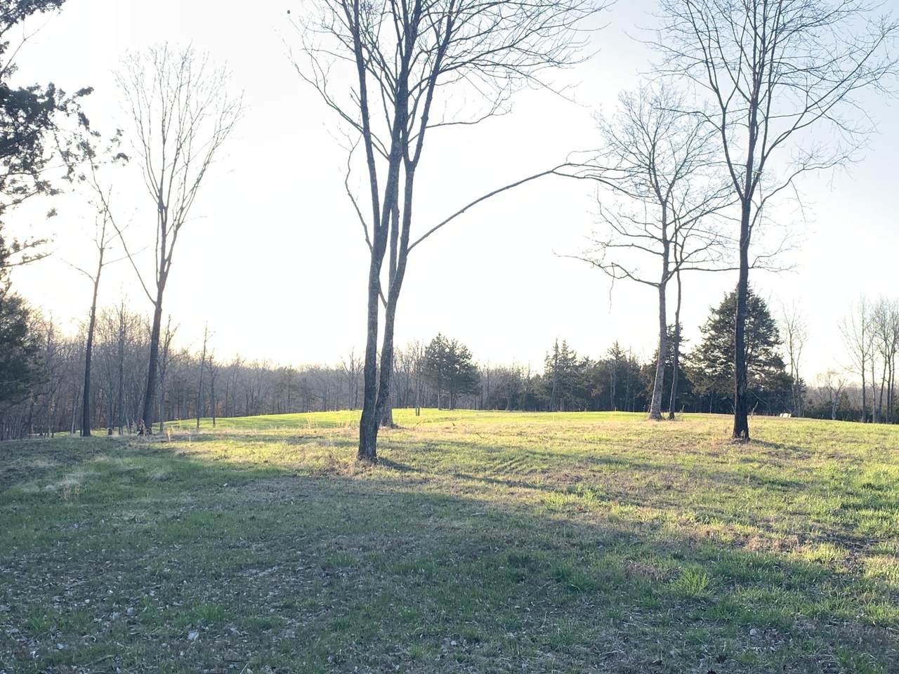 LOT 65.73 Eglin Dr - Photo 1