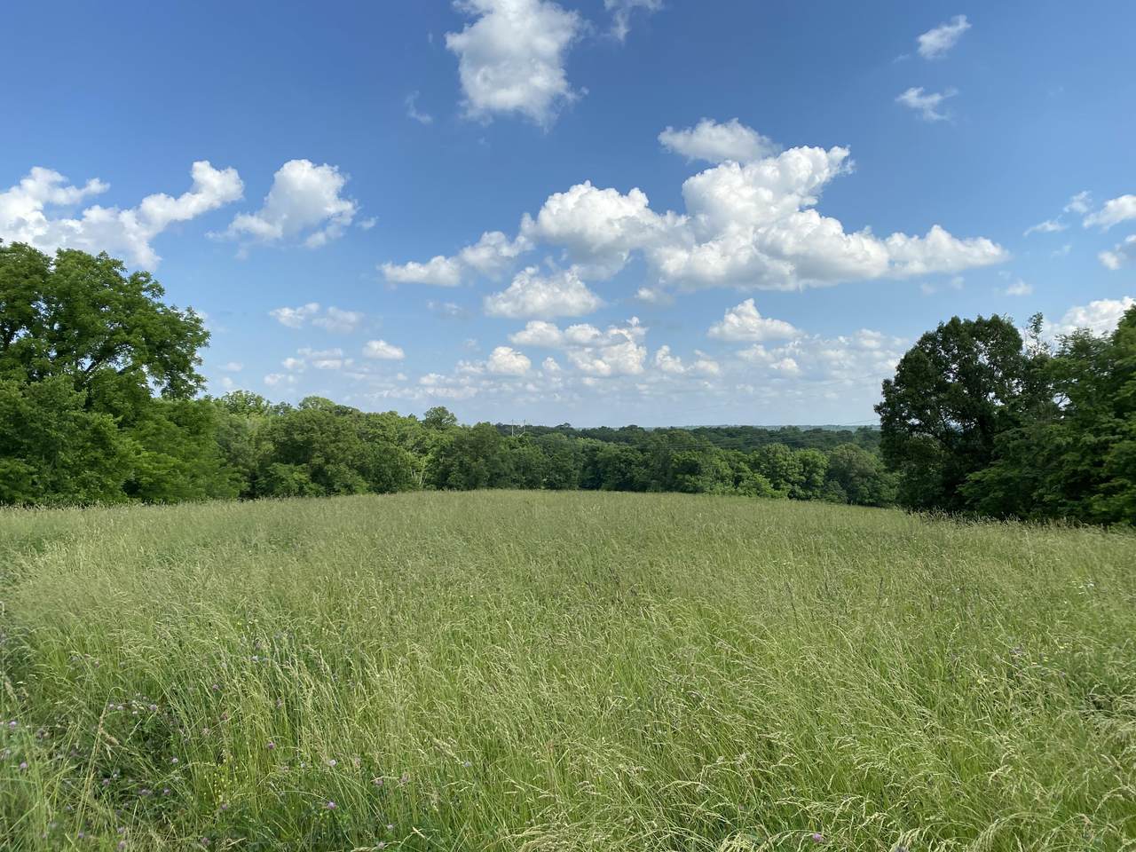 LOT 2 Mo Hwy 179(Eagles Ridge Lot 2) - Photo 1