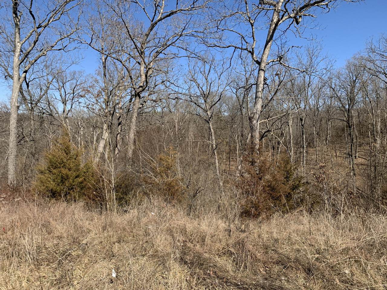 11 Dereks Way - Photo 1