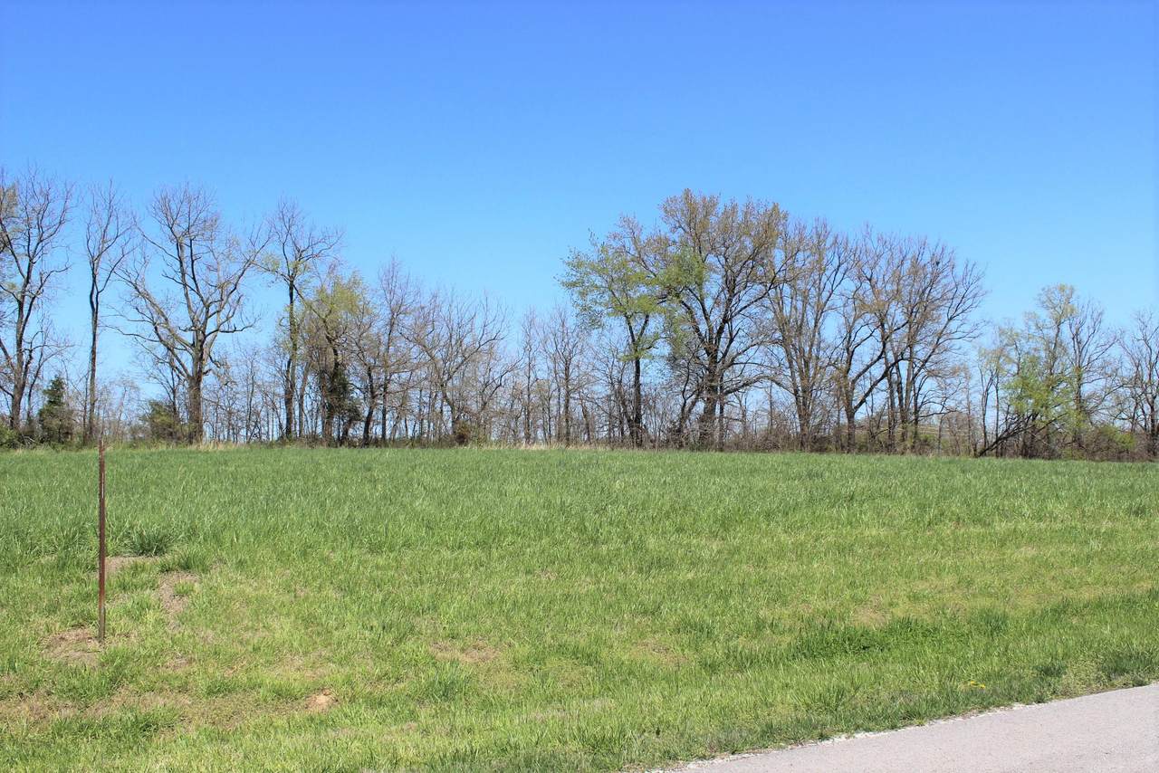 LOT 92 Madewood Rd - Photo 1