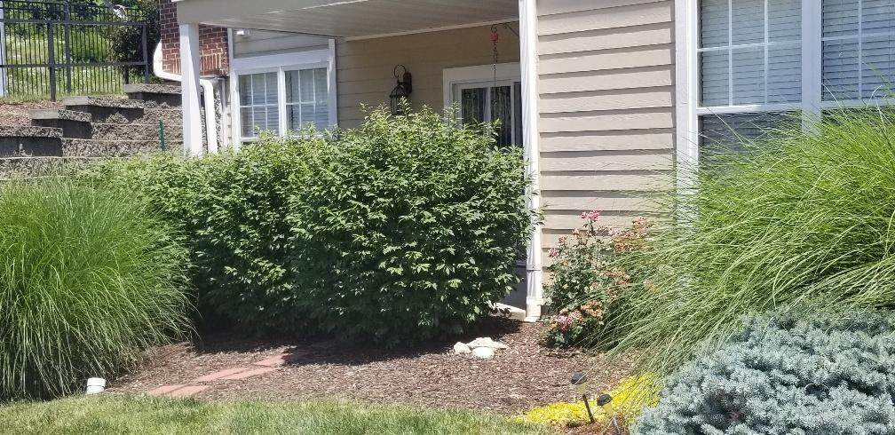 4008 Worley St - Photo 1