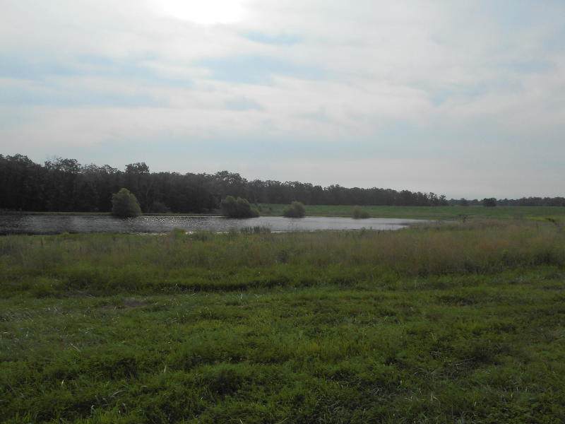 5713 Spring Meadow Dr - Photo 1
