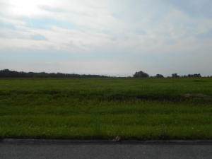 5673 Long Meadow Dr - Photo 1