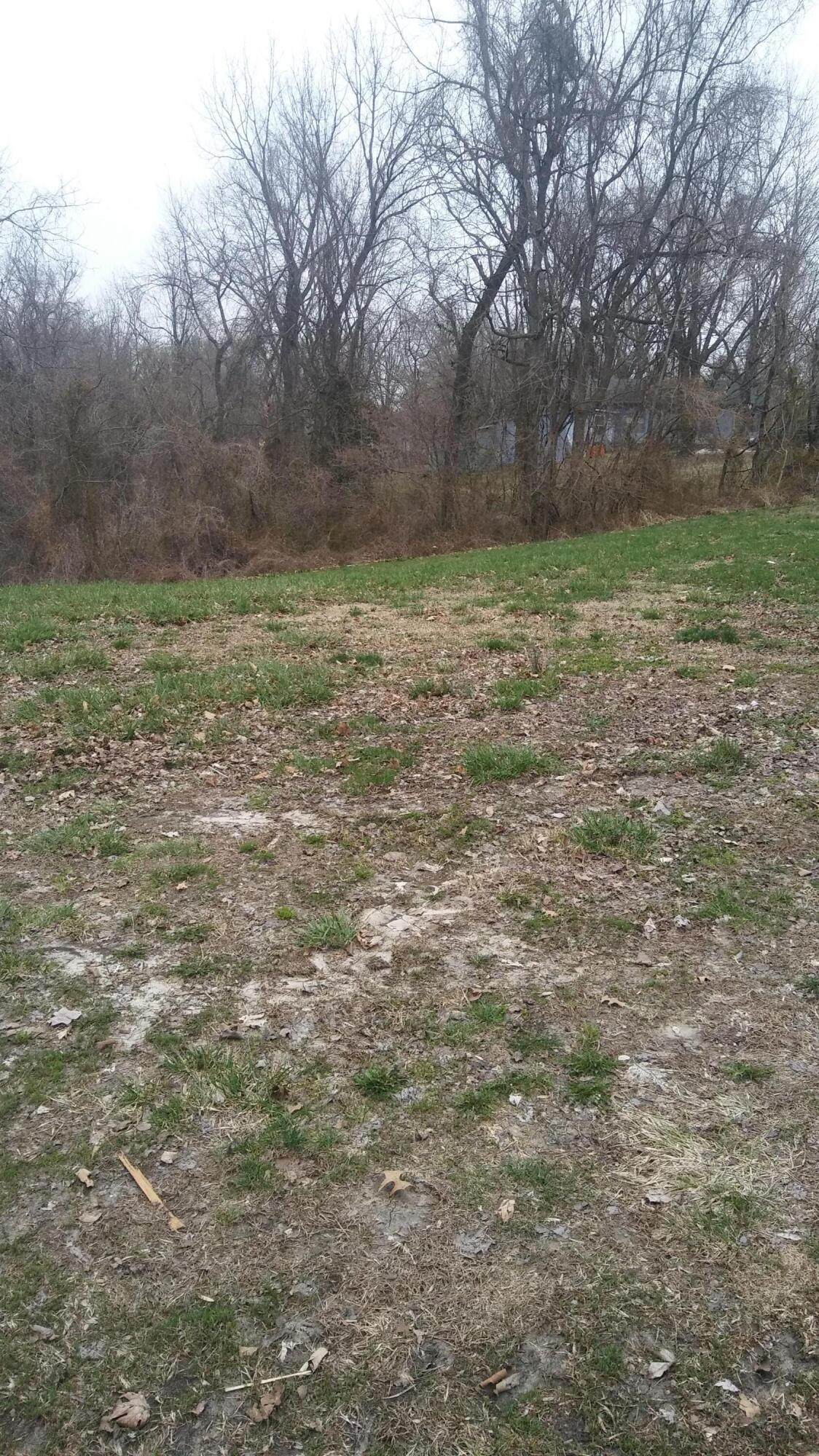 1011 Locust St - Photo 1