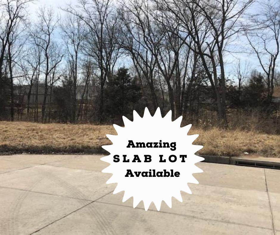 LOT 93 E Dancing Willow Dr - Photo 1